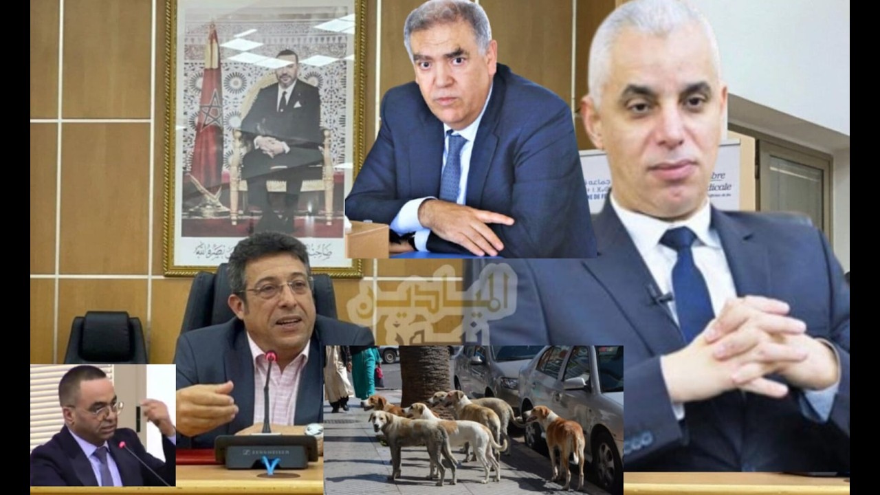 رعاية الكلاب الضالة بفاس تفضح اتفاقية بقيمة 100 مليون سنتيما