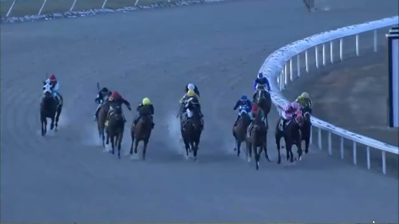 R1  Turfway Park 13 Feb 2026
