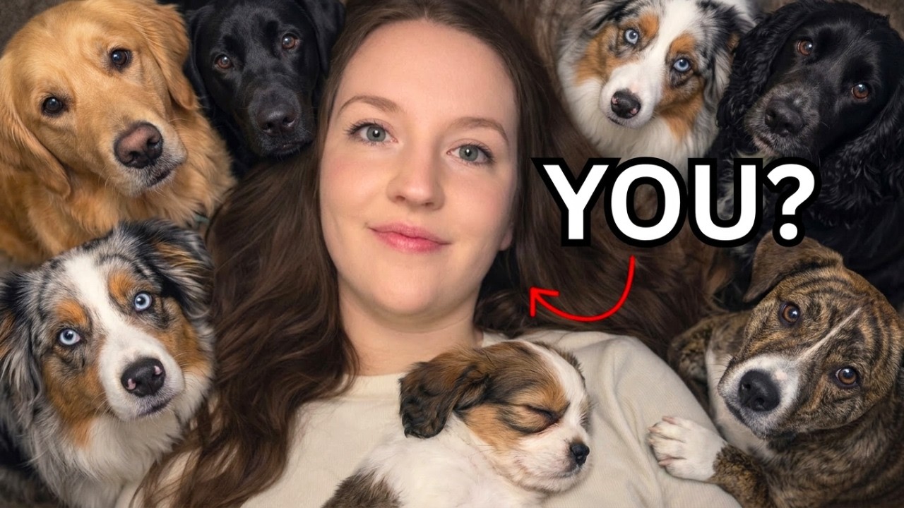 What Loving Dogs Says About Your Personality