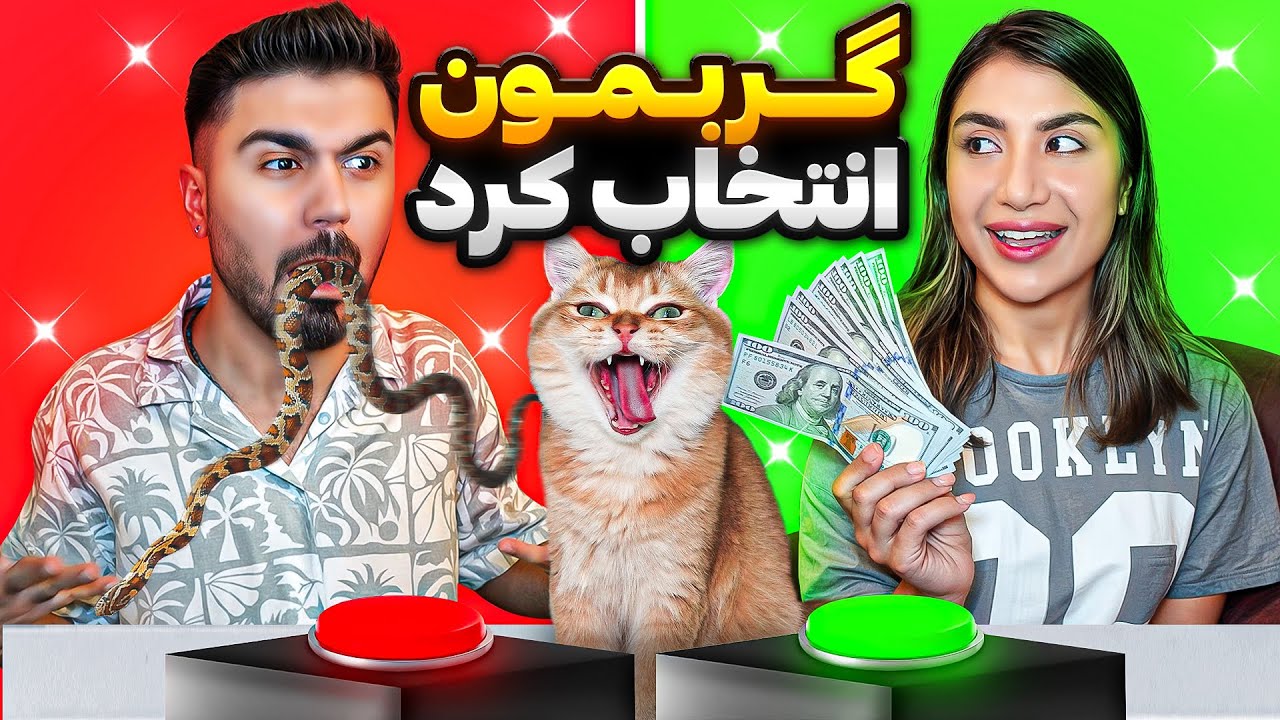 جایزه و مجا%زاتمون رو گربمون انتخاب کرد😰