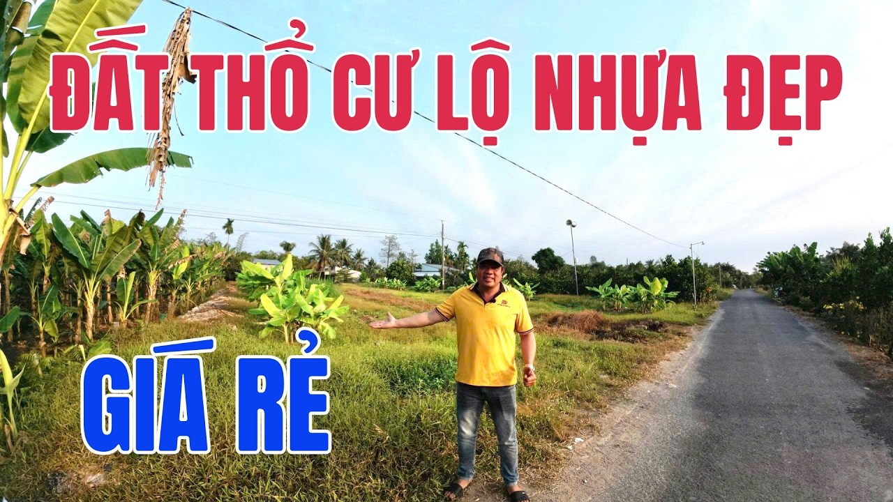 Chính chủ bán gấp nền thổ cư lộ nhựa giá rẻ gần chợ Tân Thành, Vĩnh Long