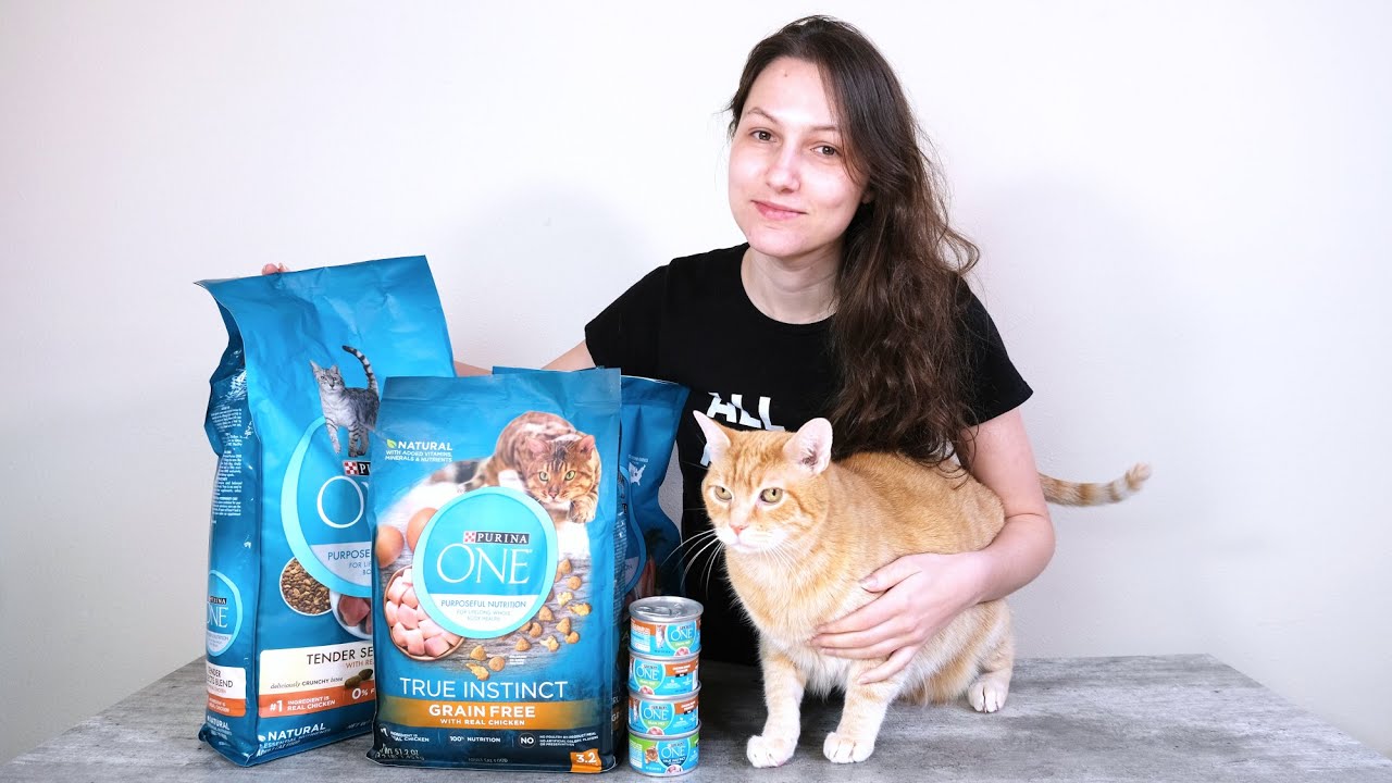 Обзор корма для кошек Purina ONE (мы попробовали)