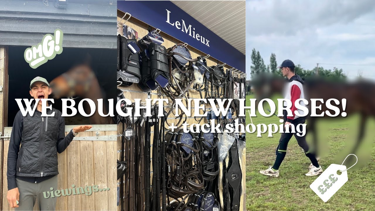 BUYING OUR NEW HORSES & TACK SHOPPING TRIP!