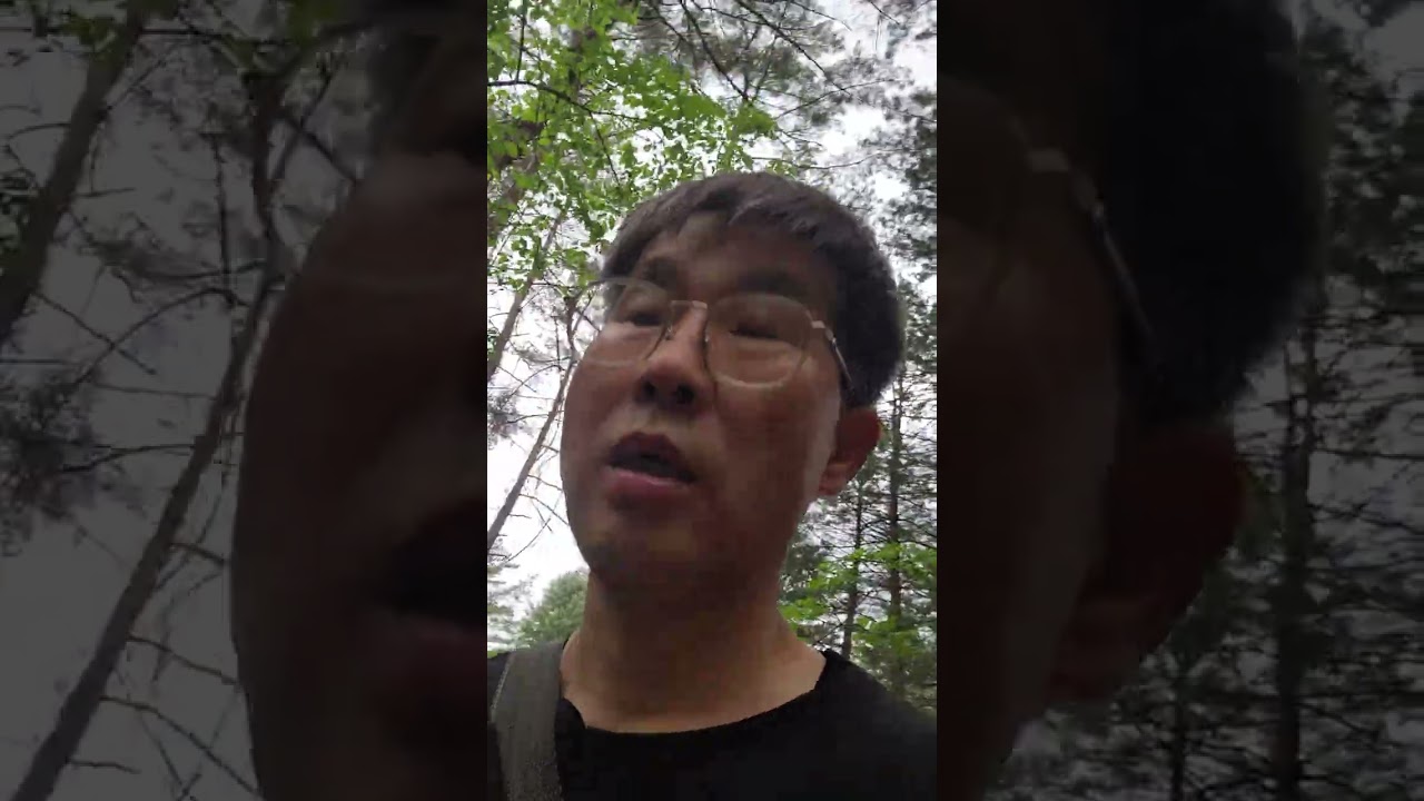 4년근 산양삼