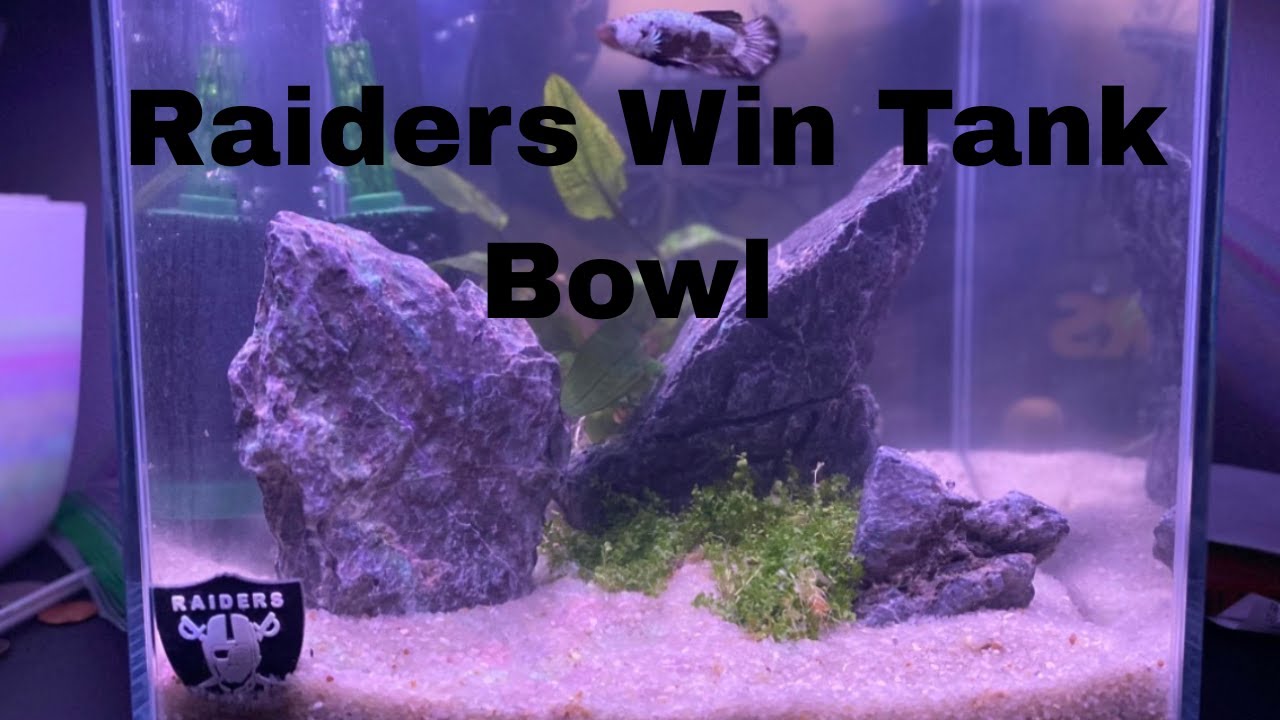 Raiders Win Tank Bowl!