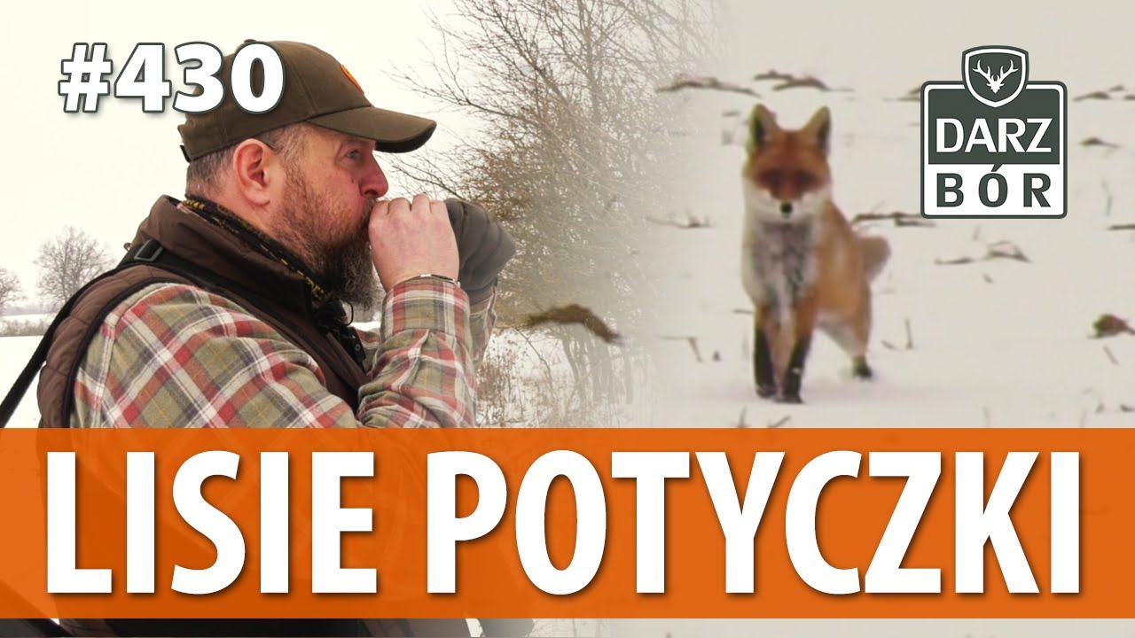 Darz Bór odc. 430 Lisie Potyczki