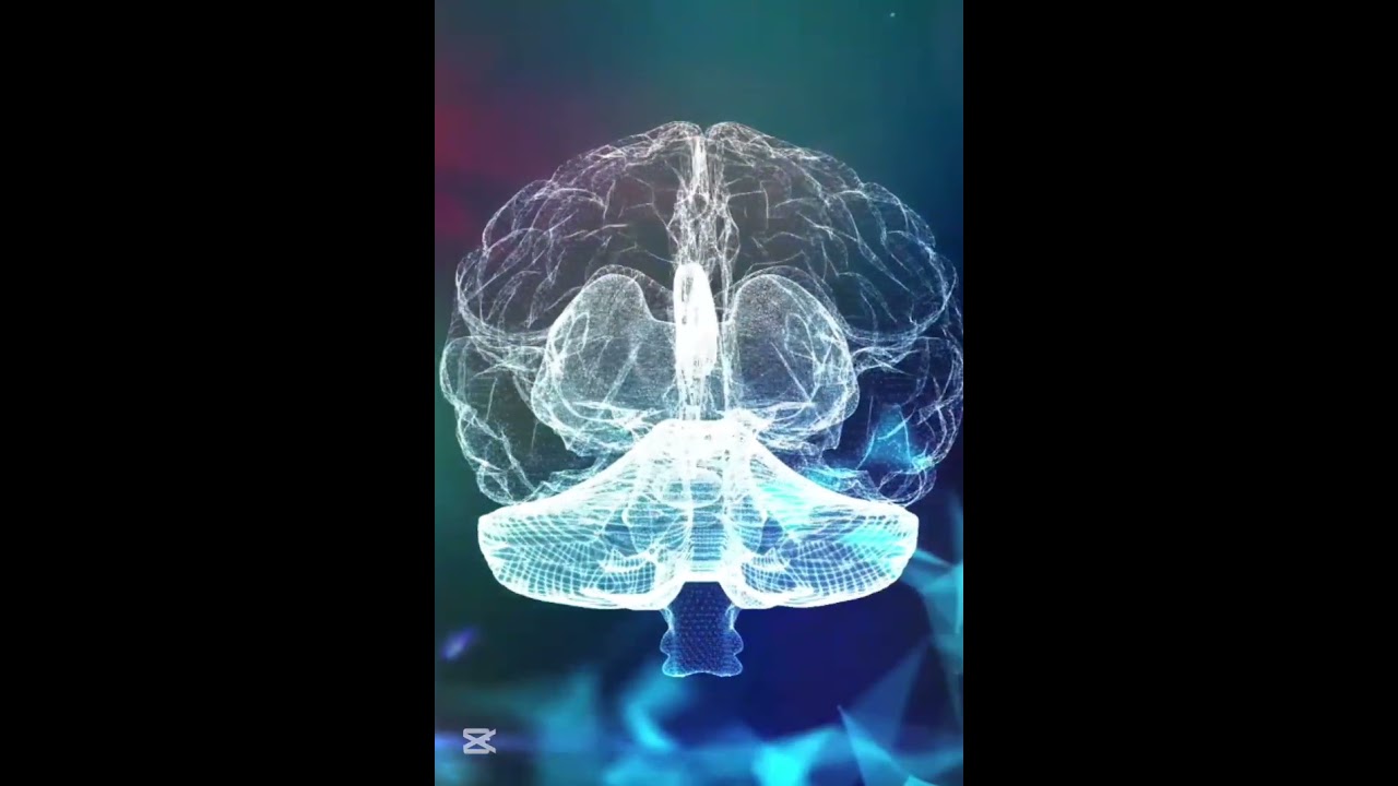 Your Mind Is Not On Your Side