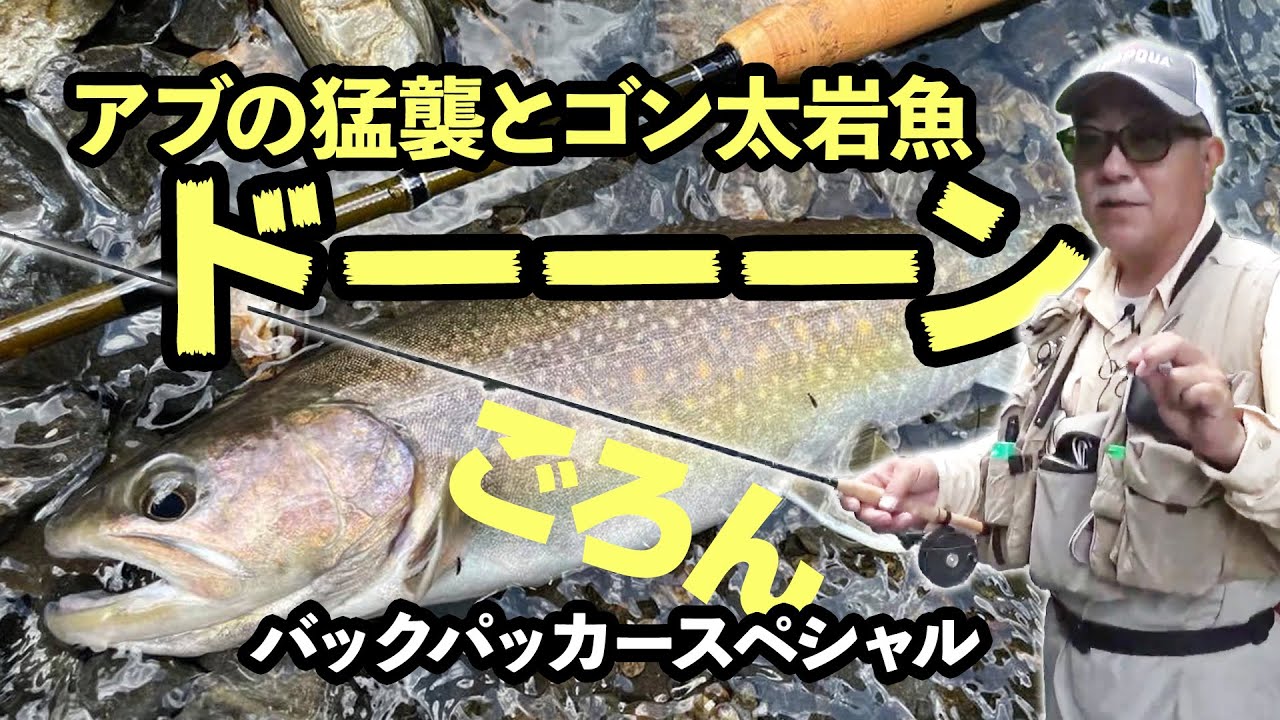 アブの猛襲とゴン太岩魚 !