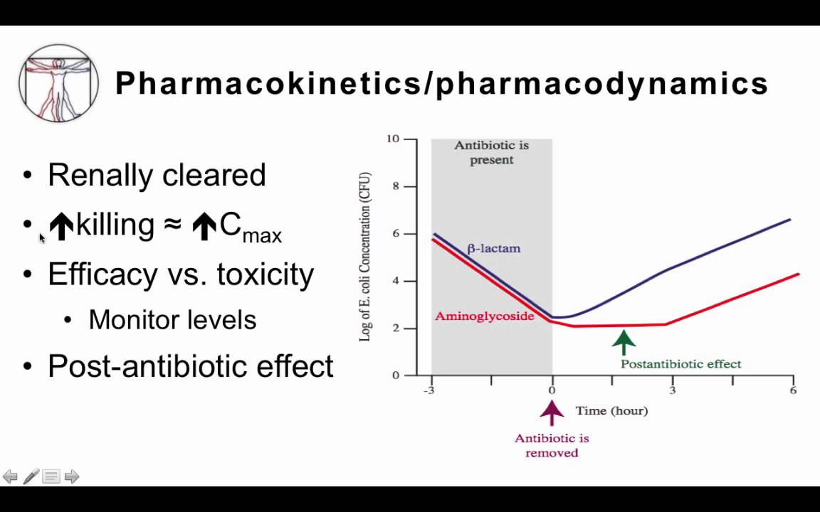 4. Aminoglycosides