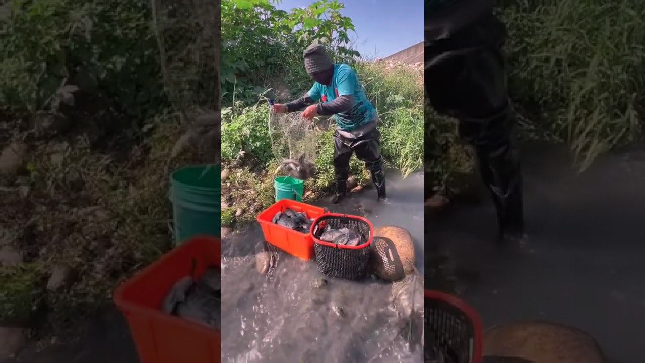 Primitive life, Simple life, Food Life, EP148,