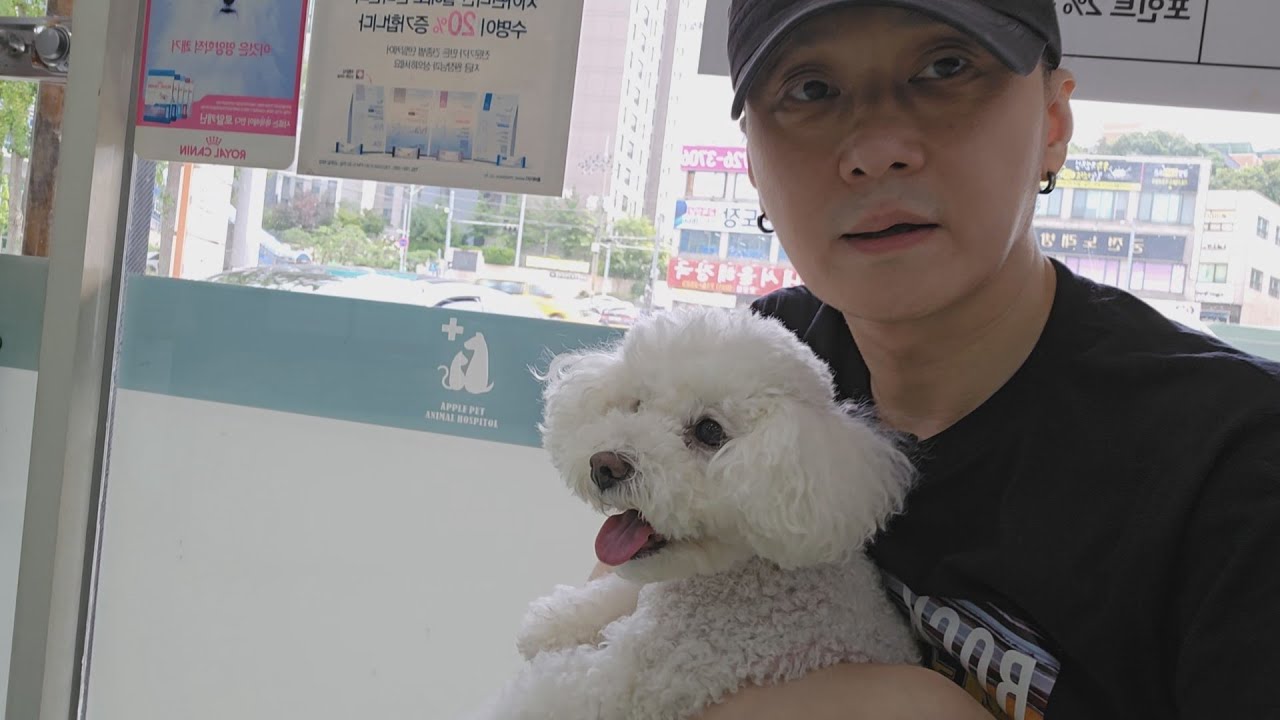 8살 아르 건강검진 받고 왔어요^^ #vlog