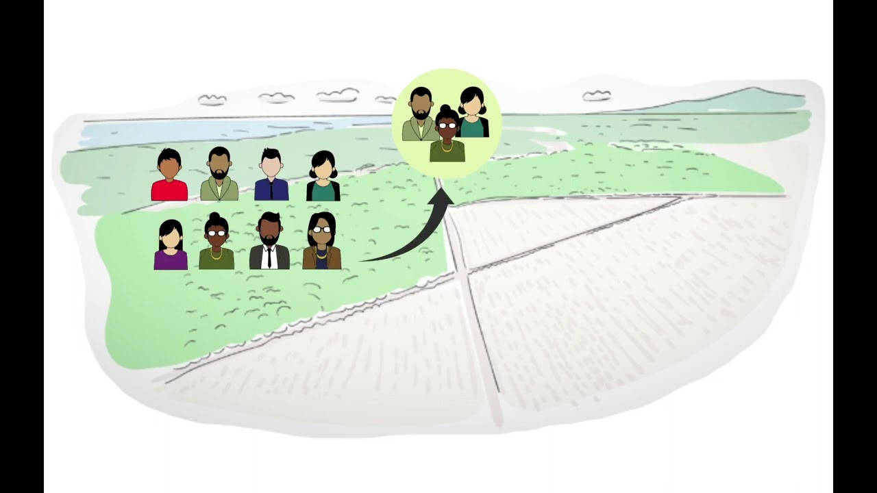 Labour Rights – Social Auditing