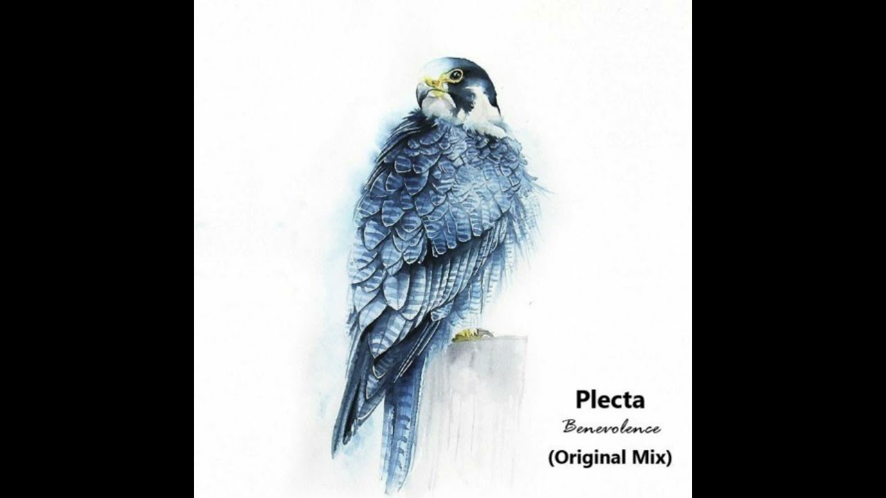 Plecta - Benevolence (Original Mix)