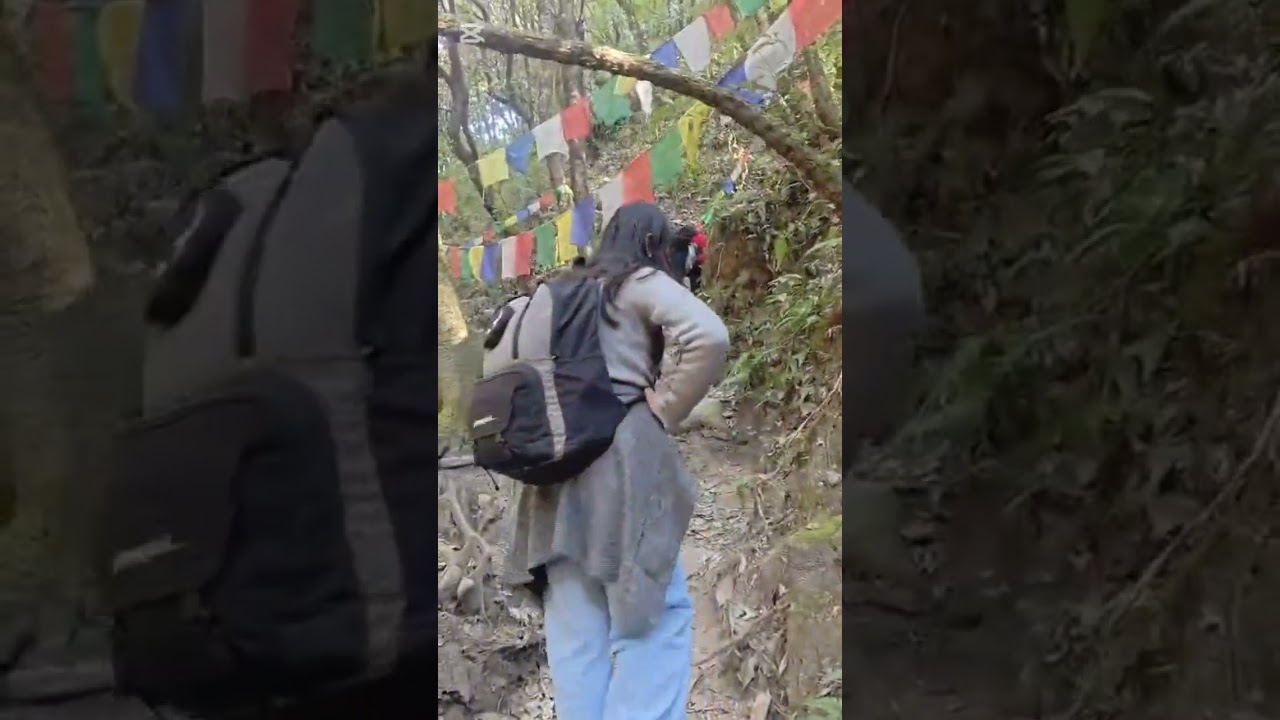  Shivapuri Peak hike 🌿 Peace, paths, and pure mountain air🫶