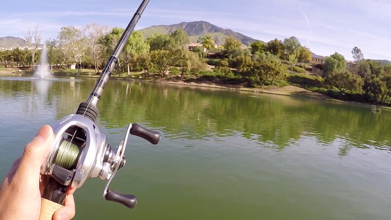 Fishing an OASIS in the California Desert!!! (MTB 1v1 Challenge)
