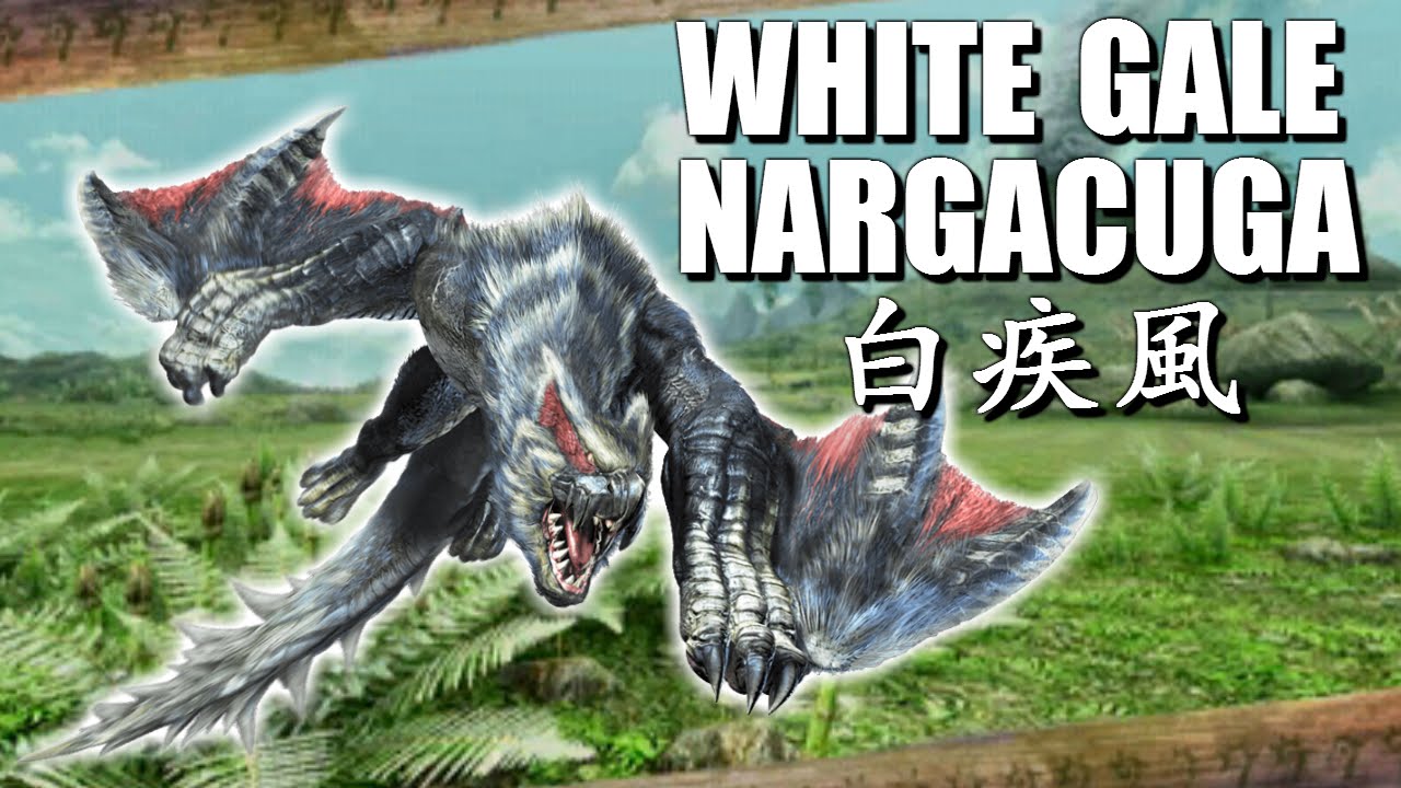 Monster Hunter Generations (X)： The Silver Wind Nargacuga
