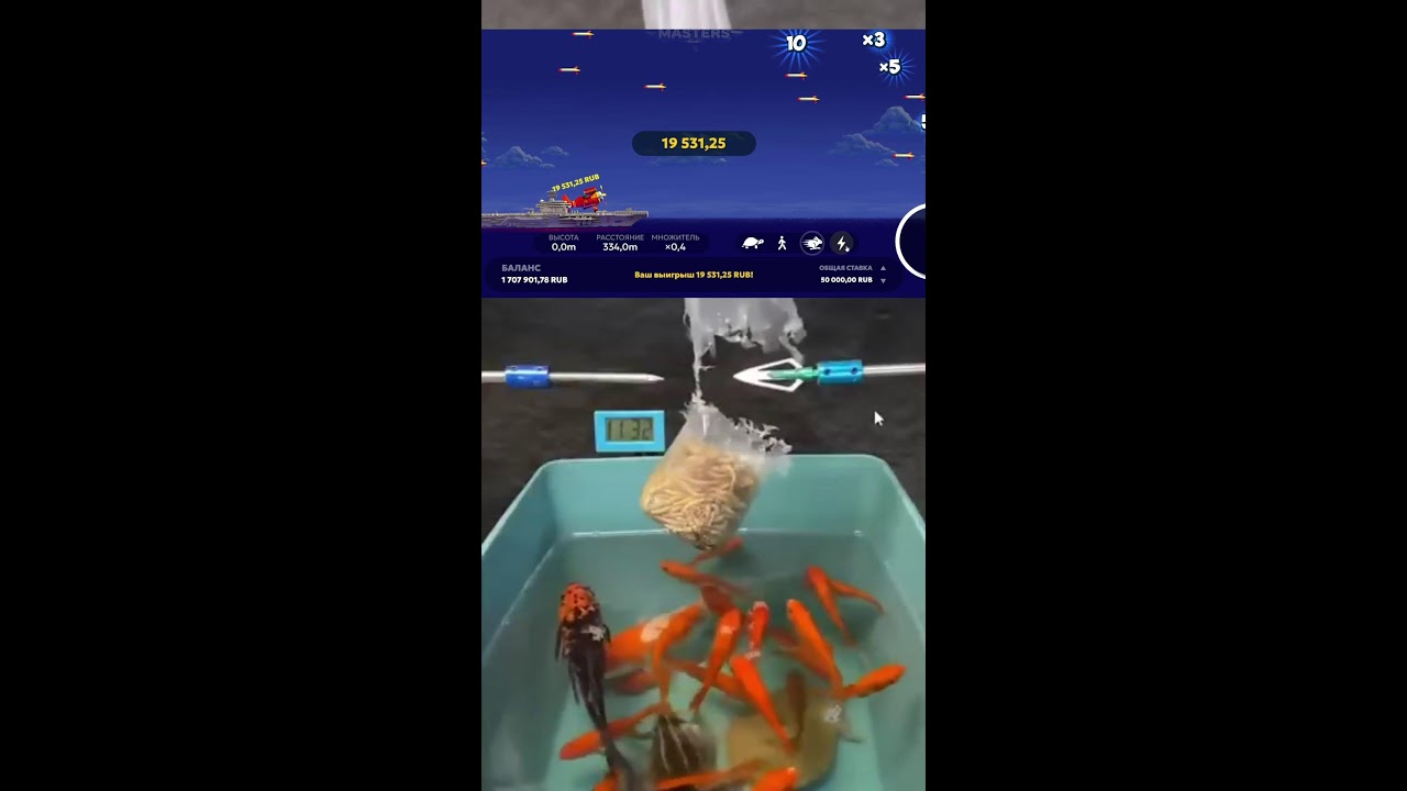Livestream von klingor
