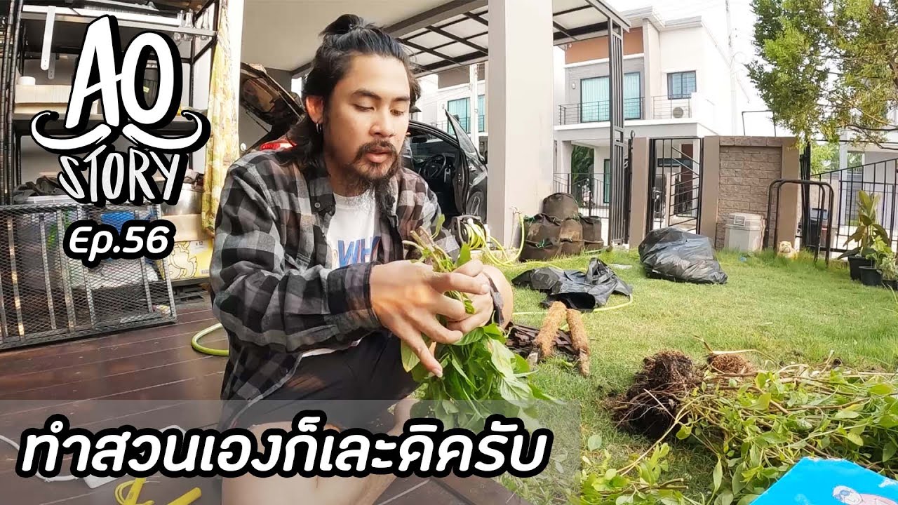 AO STORY EP.56 : ทำสวนเองก็เละดิครับ