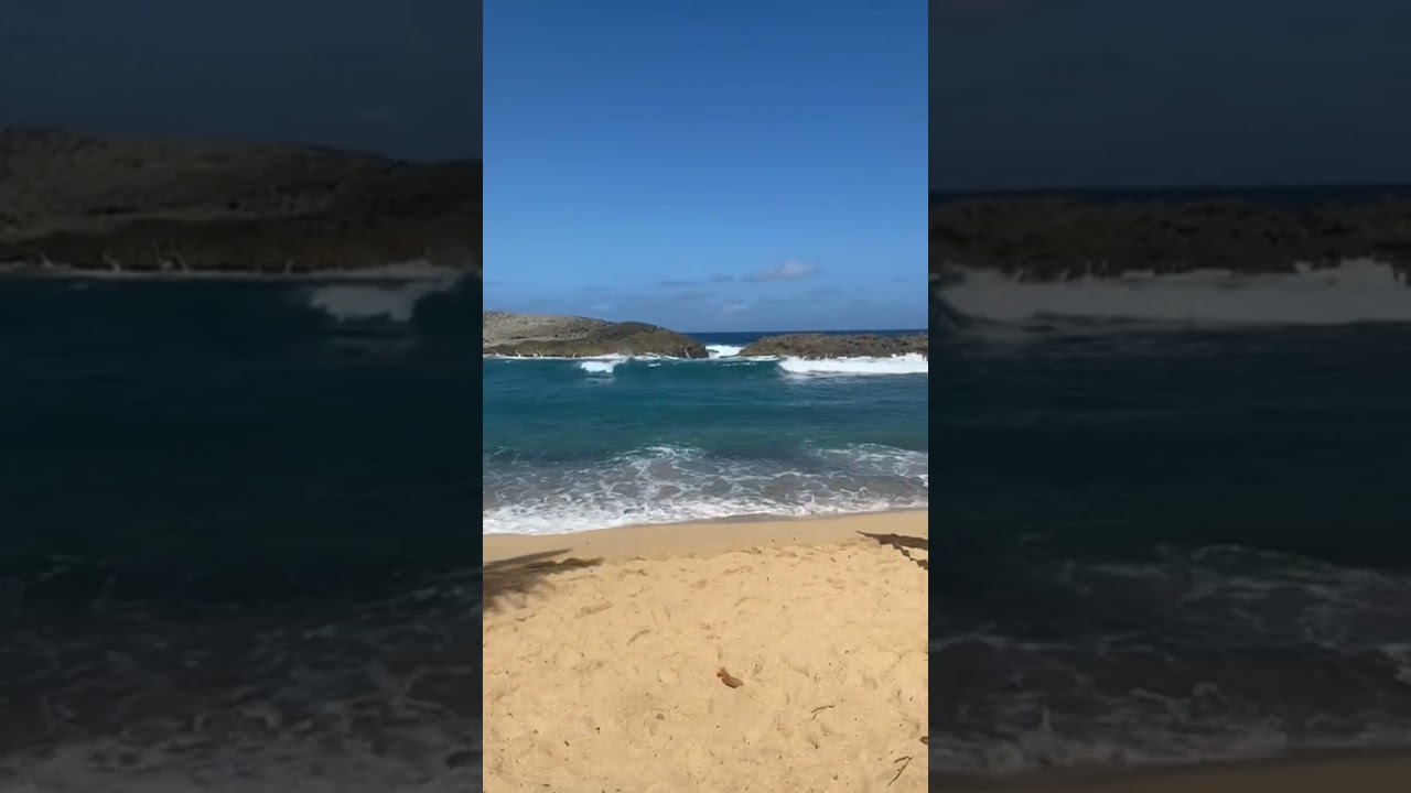#paraisonatural