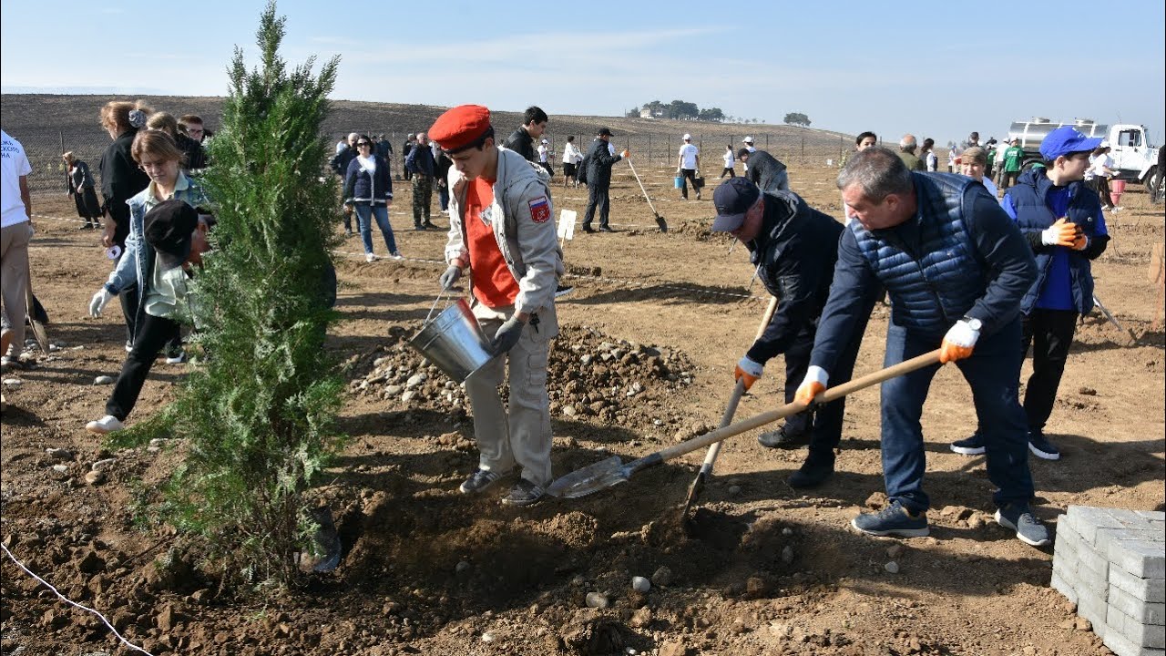 В Дербентском районе высадили 200 саженцев в Саду памяти