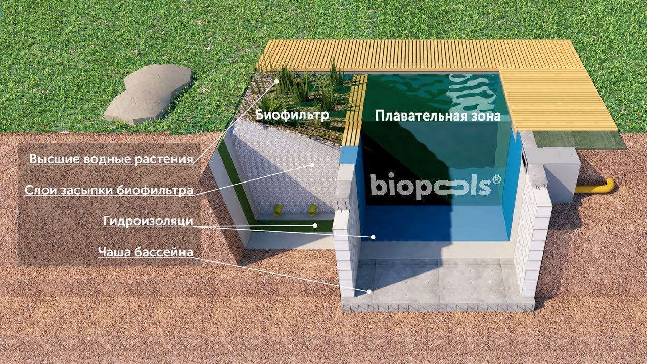 Что такое биобассейн?