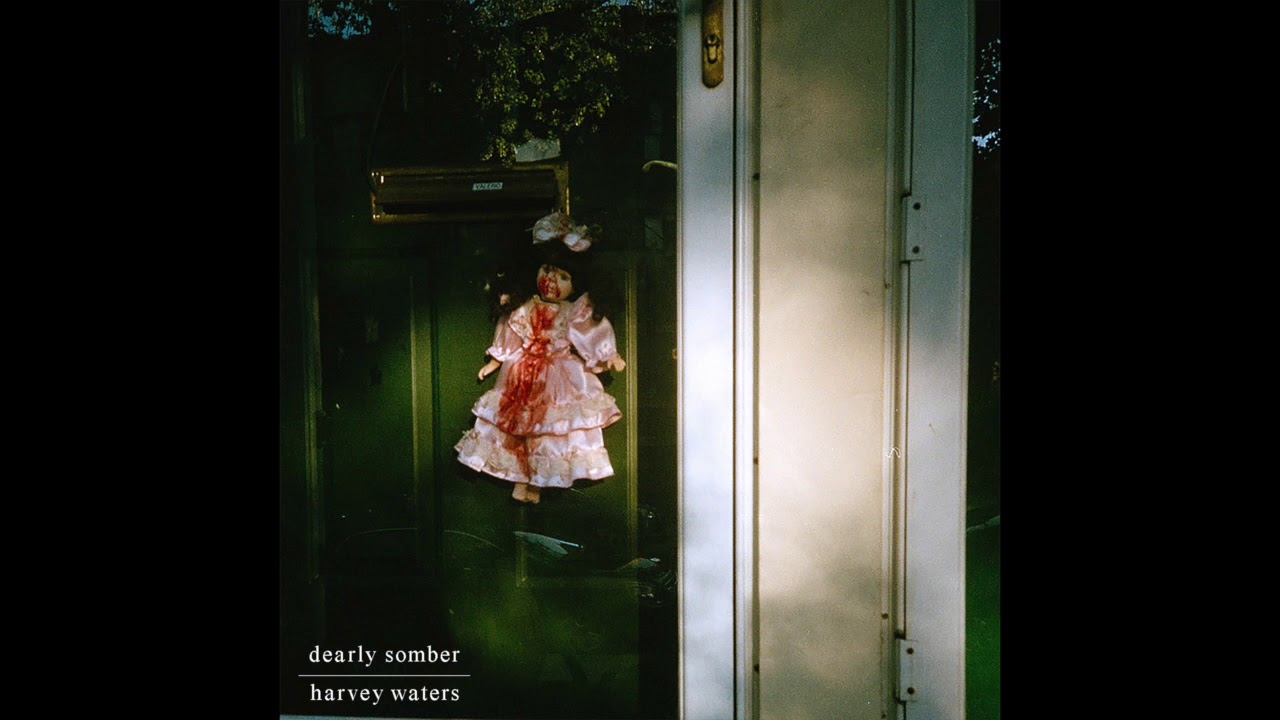 Dearly Somber - Hate