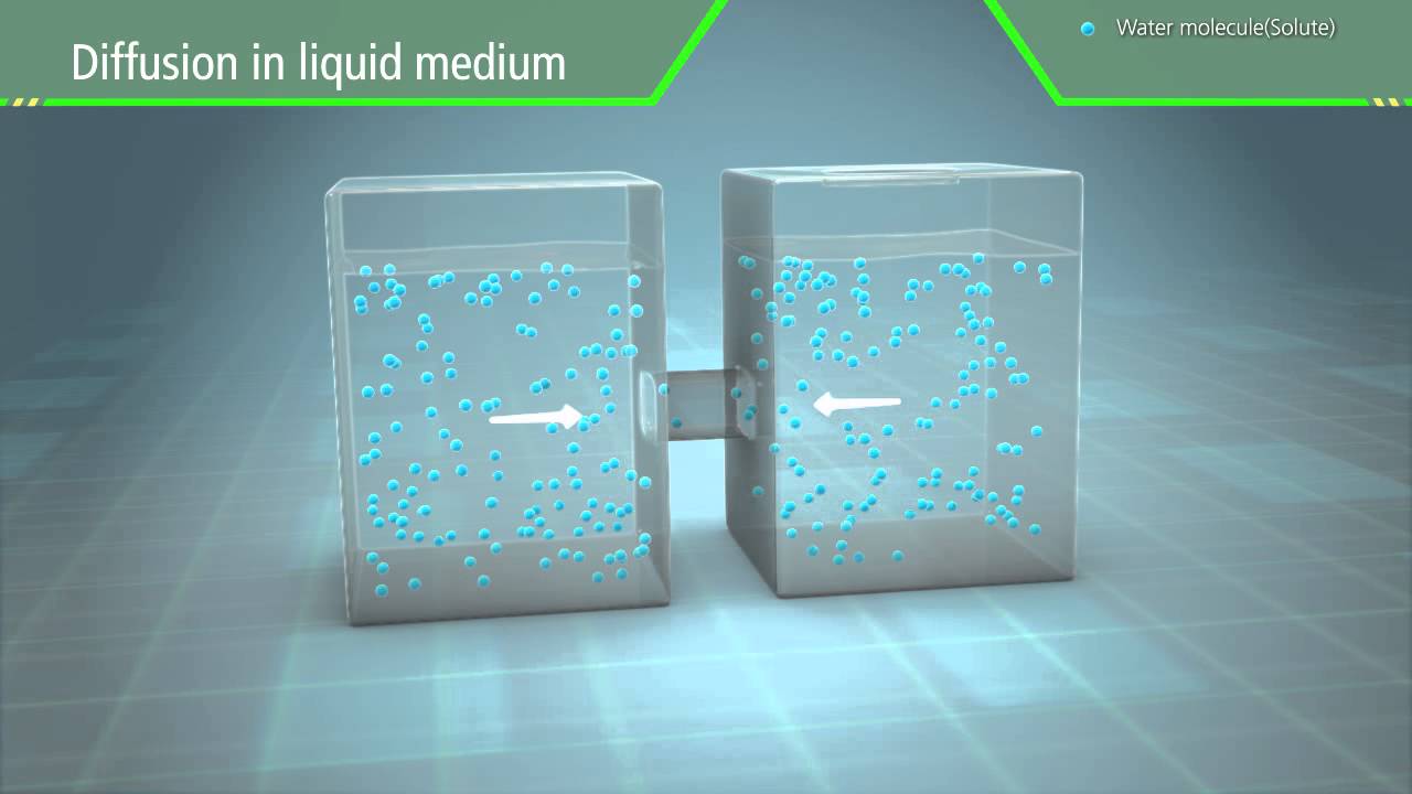 Научная 3D-анимация &mdash; Диффузия и осмос