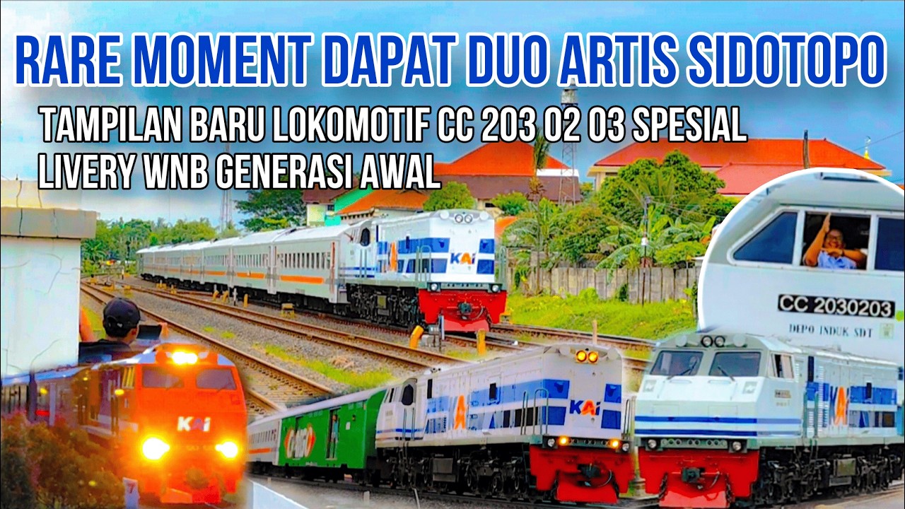 DUA ARTIS SIDOTOPO DATANG KE PURWOKERTO | Wajah Baru Livery White'n Blue Lokomotif CC 203 02 03