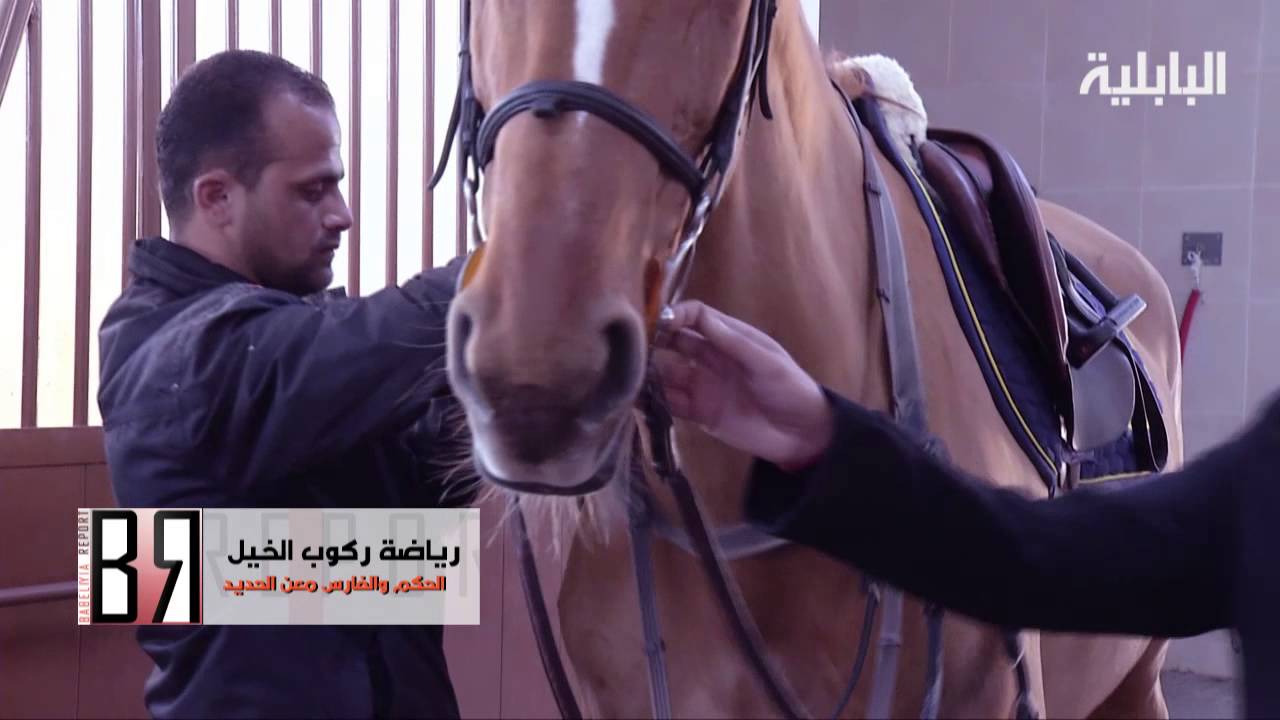 الفروسية كيفية ممارسة هذه الرياضة وما هي شروطها في برنامج تقارير البابلية   Bablyia Report