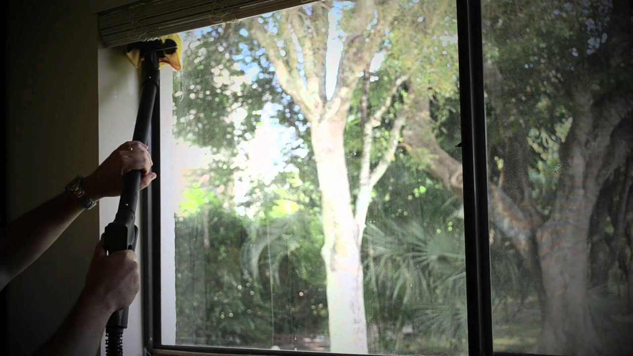 Kill Bed Bugs on Window-Sills with a Steamer (How-To)