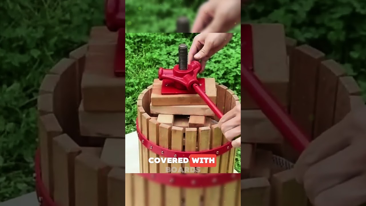 Classic Grape Pressing Technique in Action 🍇💪