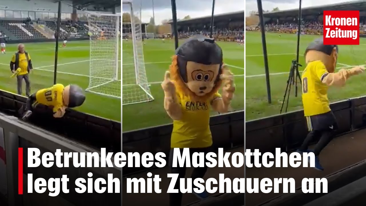 Betrunkenes Maskottchen legt sich mit Fans an | krone.tv NEWS