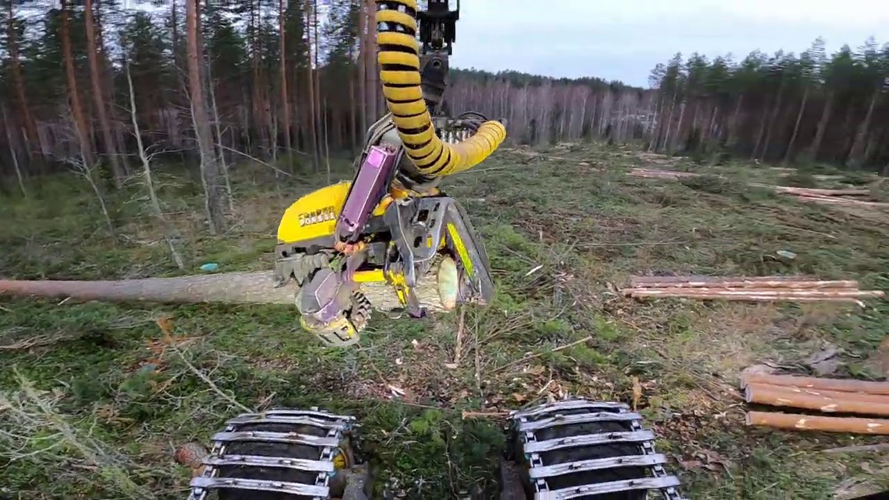 Millaista palkkaa metsäkoneen ajamisesta maksetaan? Ponsse Scorpion King H7.