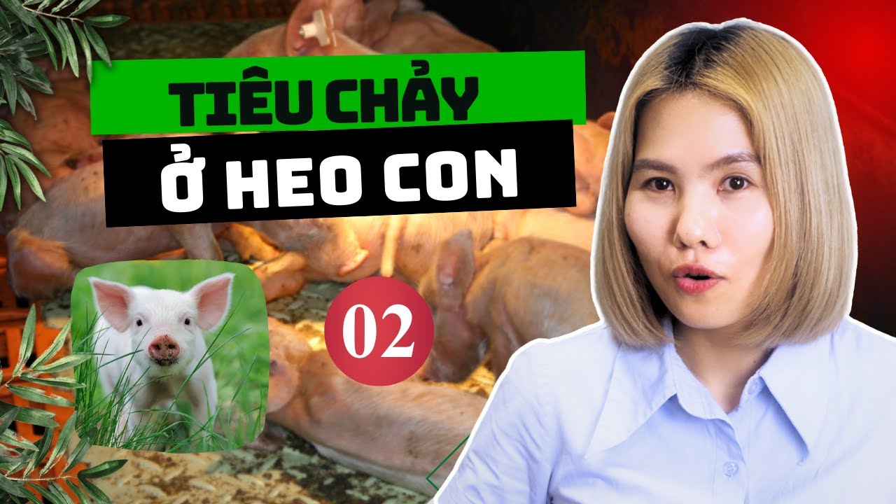 Giải Pháp An Toàn Cho Heo Con Bị Tiêu Chảy - Tìm Hiểu Ngay! Bí Quyết Thảo Dược Cực Nhạy Cho Nhà Nông