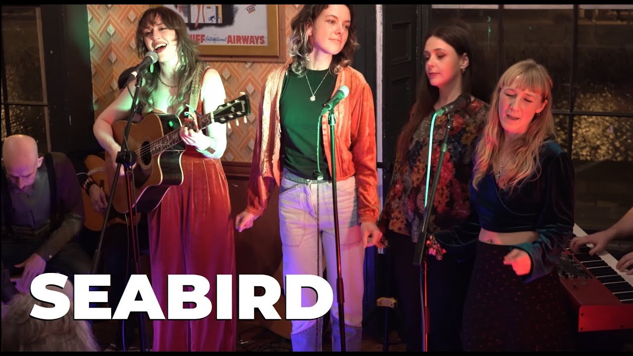Alessi Brothers - Seabird (Cover by Dubh Lee)
