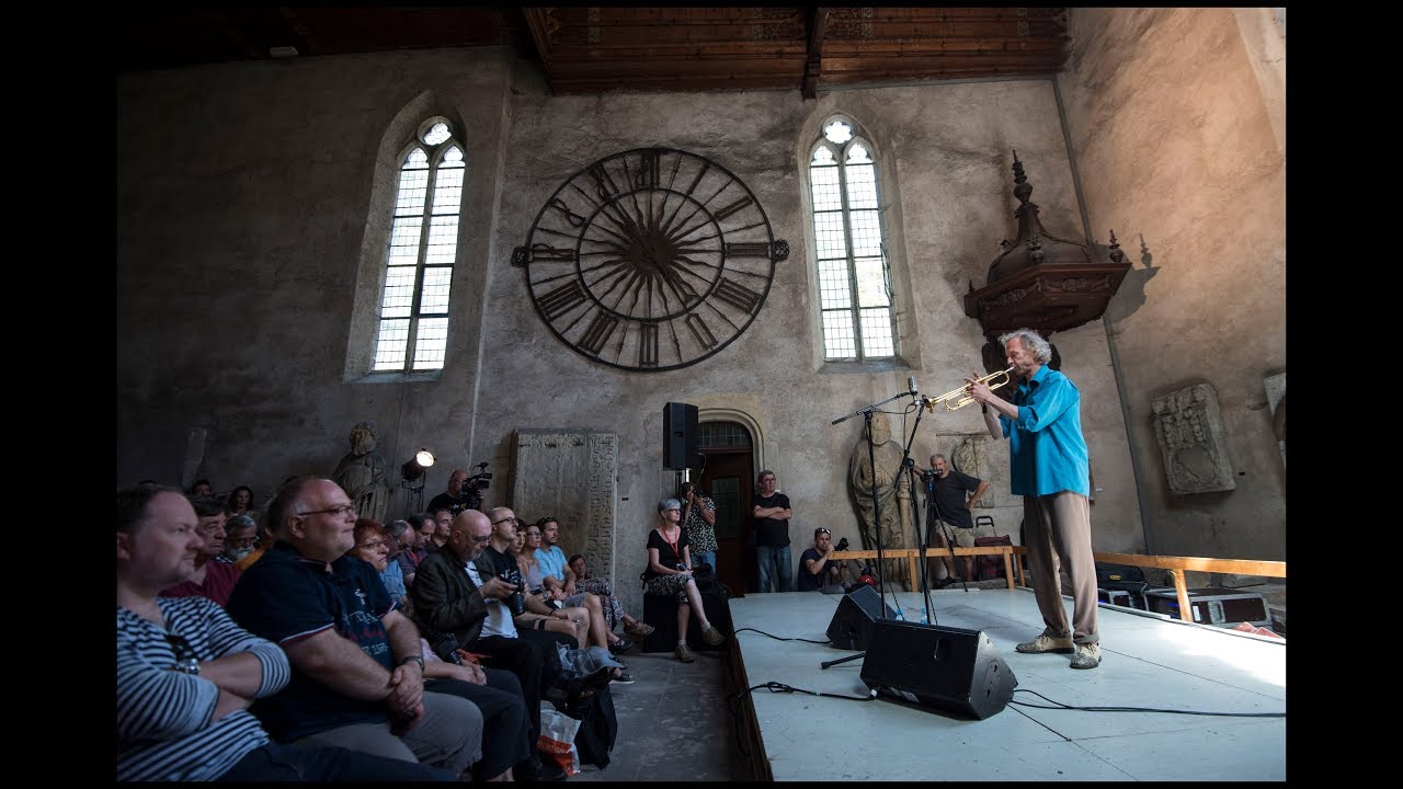FRANZ HAUTZINGER SOLO - Festival Météo, Mulhouse, 2017