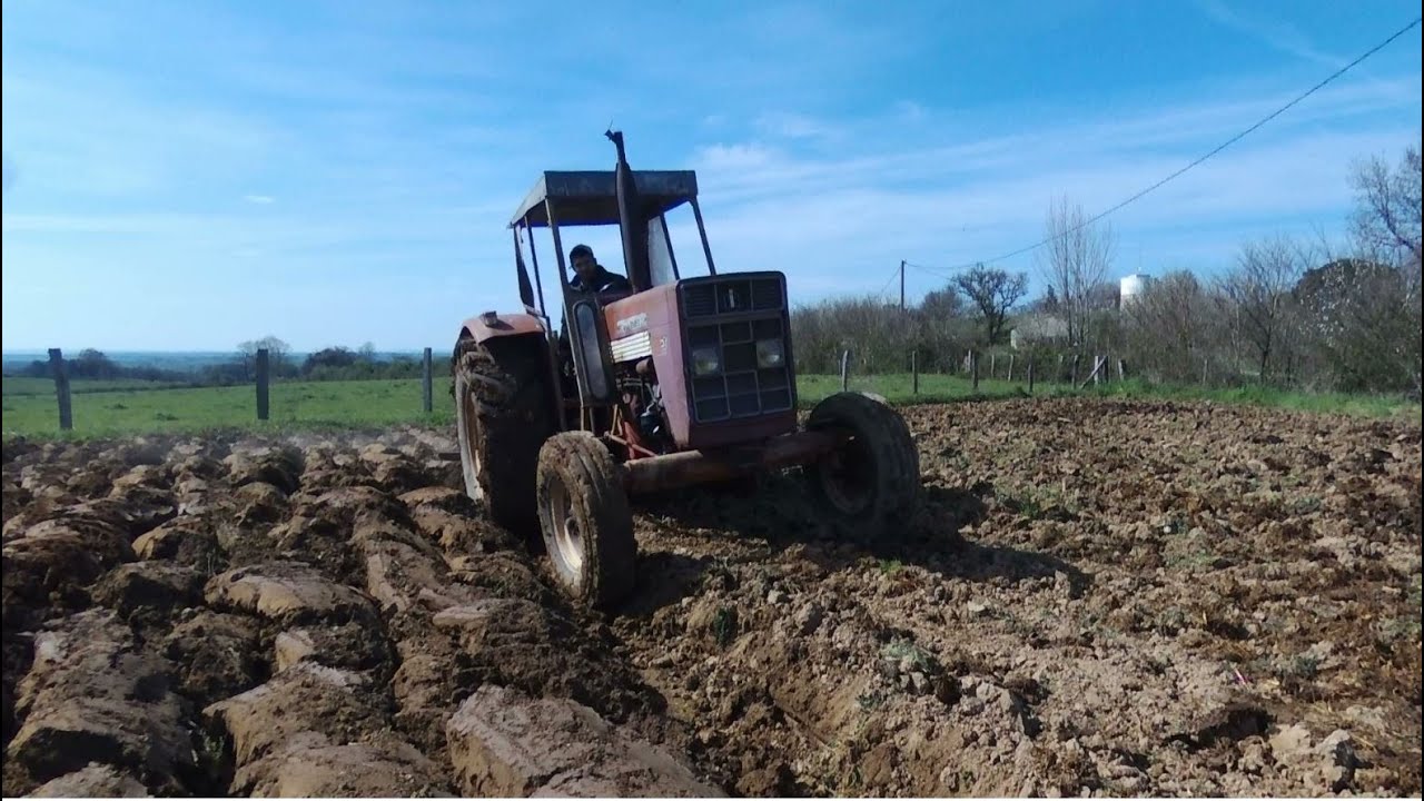 Ih 523 | 1055 | labour et plantation des patates à l'ancienne !