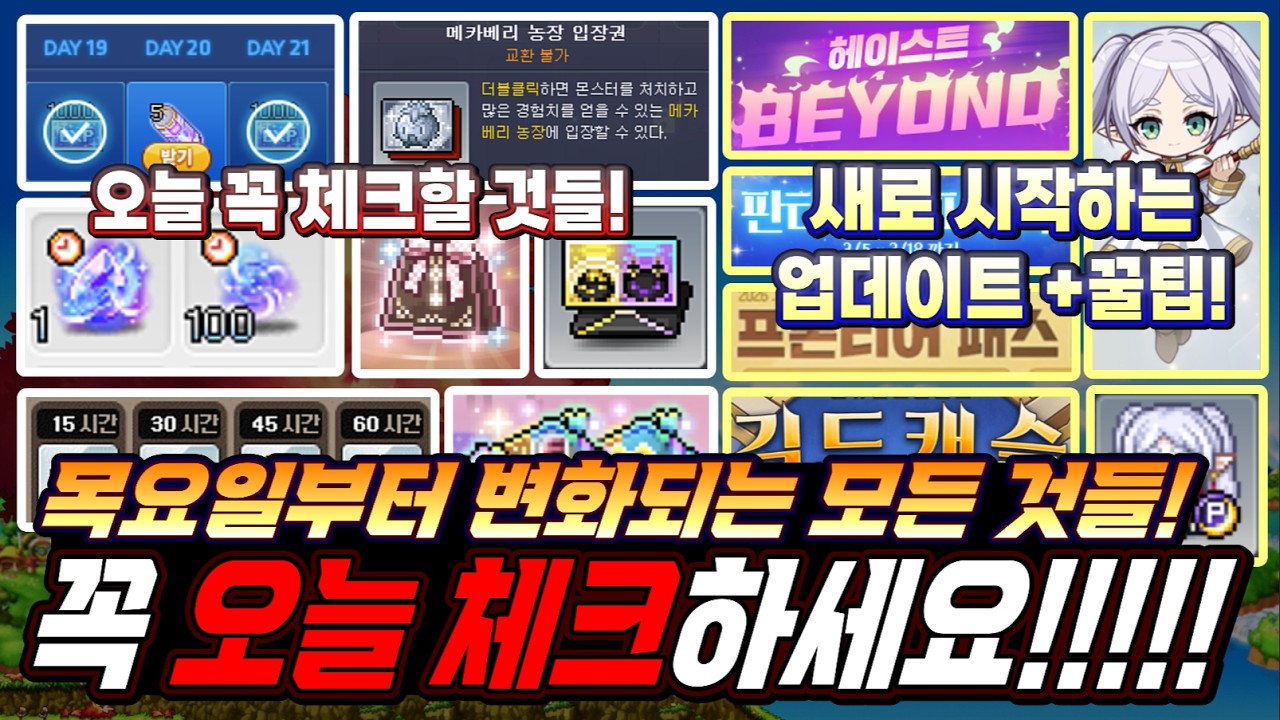 [한자] 아시죠? 오늘 꼭 체크 할 것들!!! + 업데이트 될 모든 내용과 공략 총정리!! ( 이 영상 하나에 꾹꾹 다 눌러 담았습니다!) [메이플스토리]