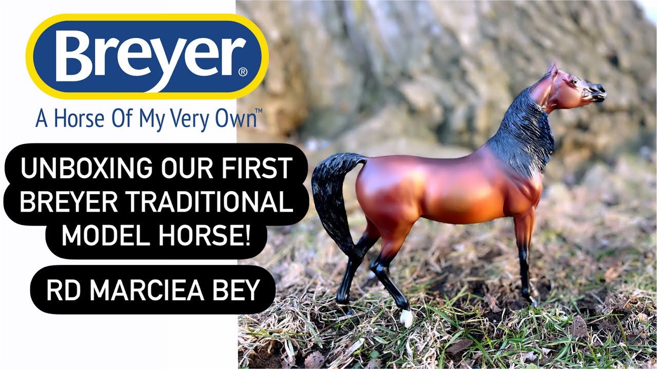 Unboxing our first Breyer Traditional Model Horse, RD Marciea Bey!