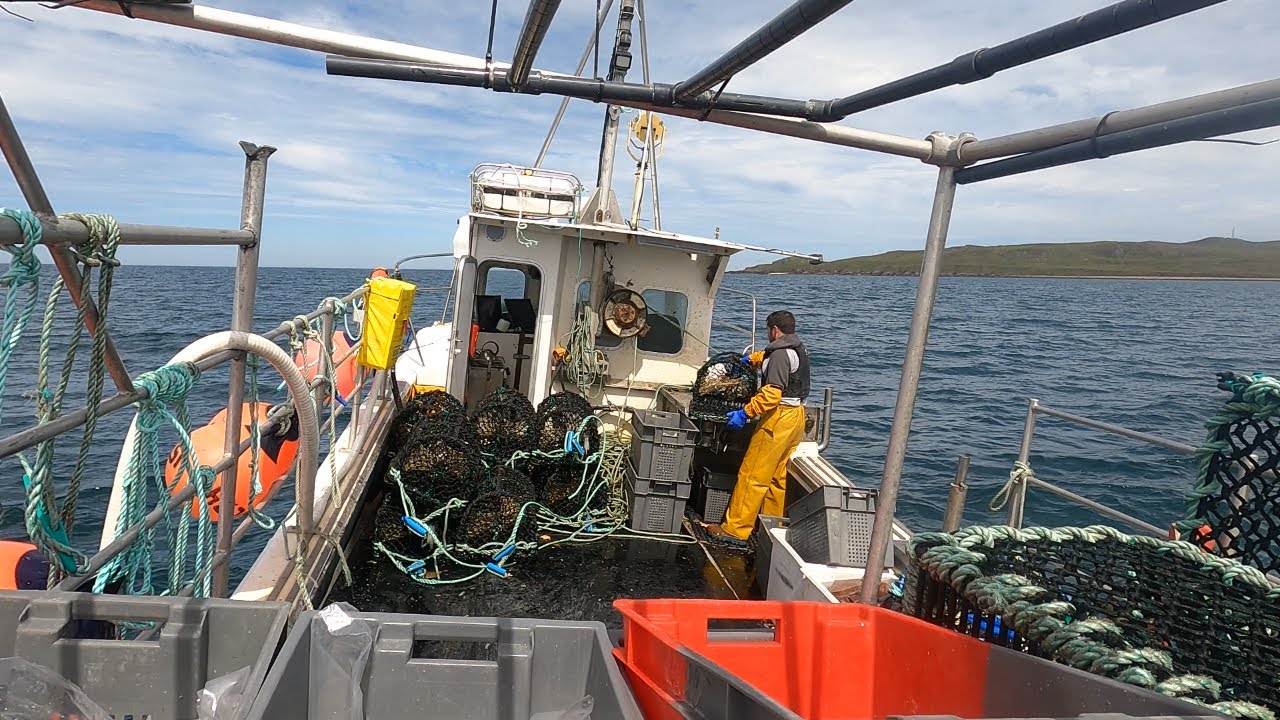 Fishing crab gear