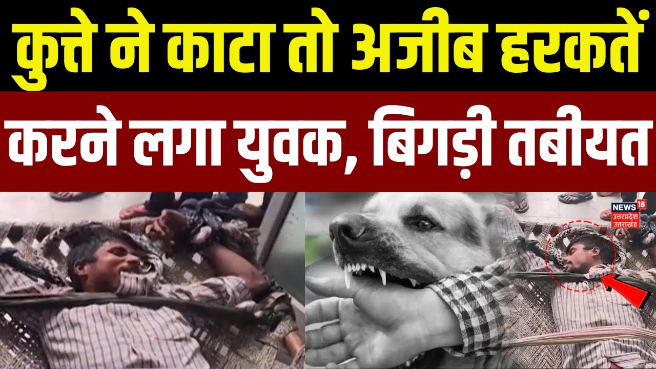 Aligarh News: कुत्ते के काटने के बाद युवक की तबीयत बिगड़ी, भौंकने और काटने दौड़ा, हालत गंभीर ! | TOP