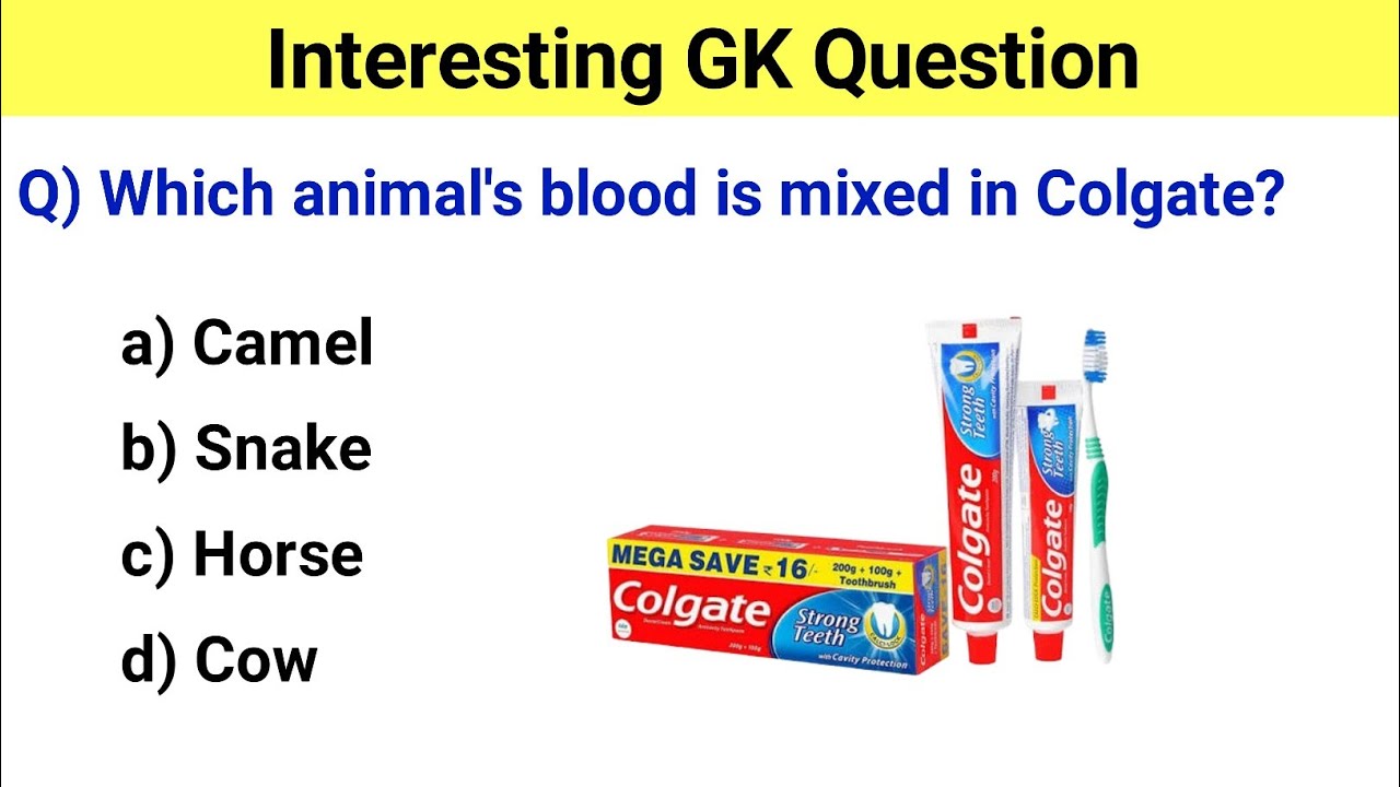 interesting gk questions in english | gk questions in english | gk questions and answers in english