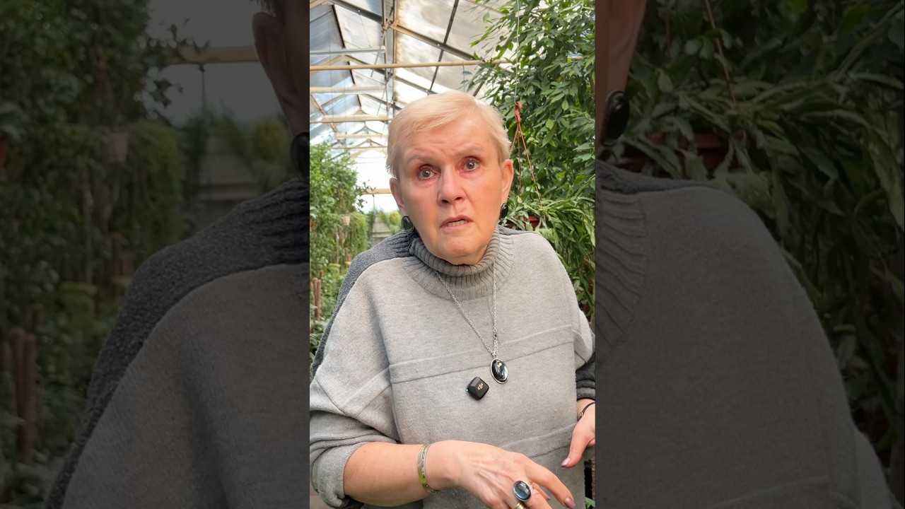 Удобрения для комнатных #фикус #краснаянива #удобрения