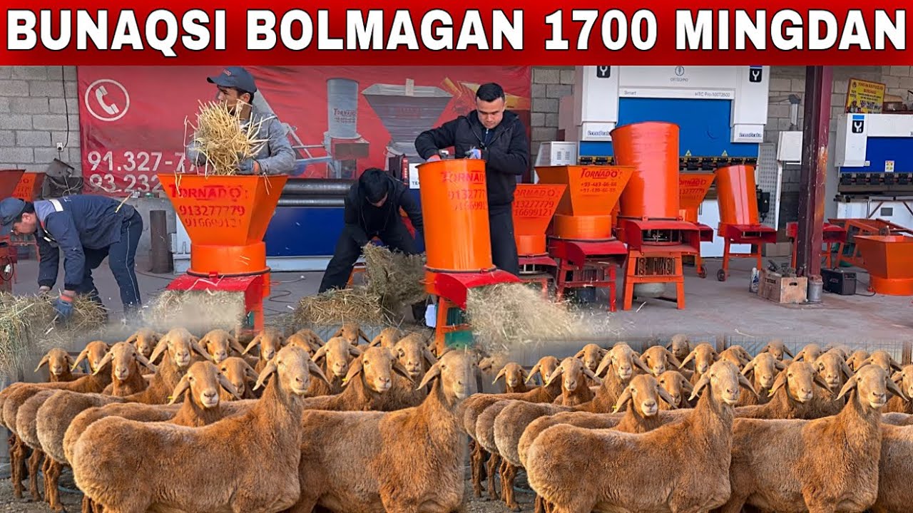 OTASIGA RAXMAT SHU BOLANI NARXNI YORVORDI AKTSIYANI DODASI BOLDI