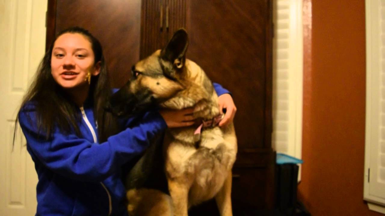 LICKS OF LOVE CHALLENGE