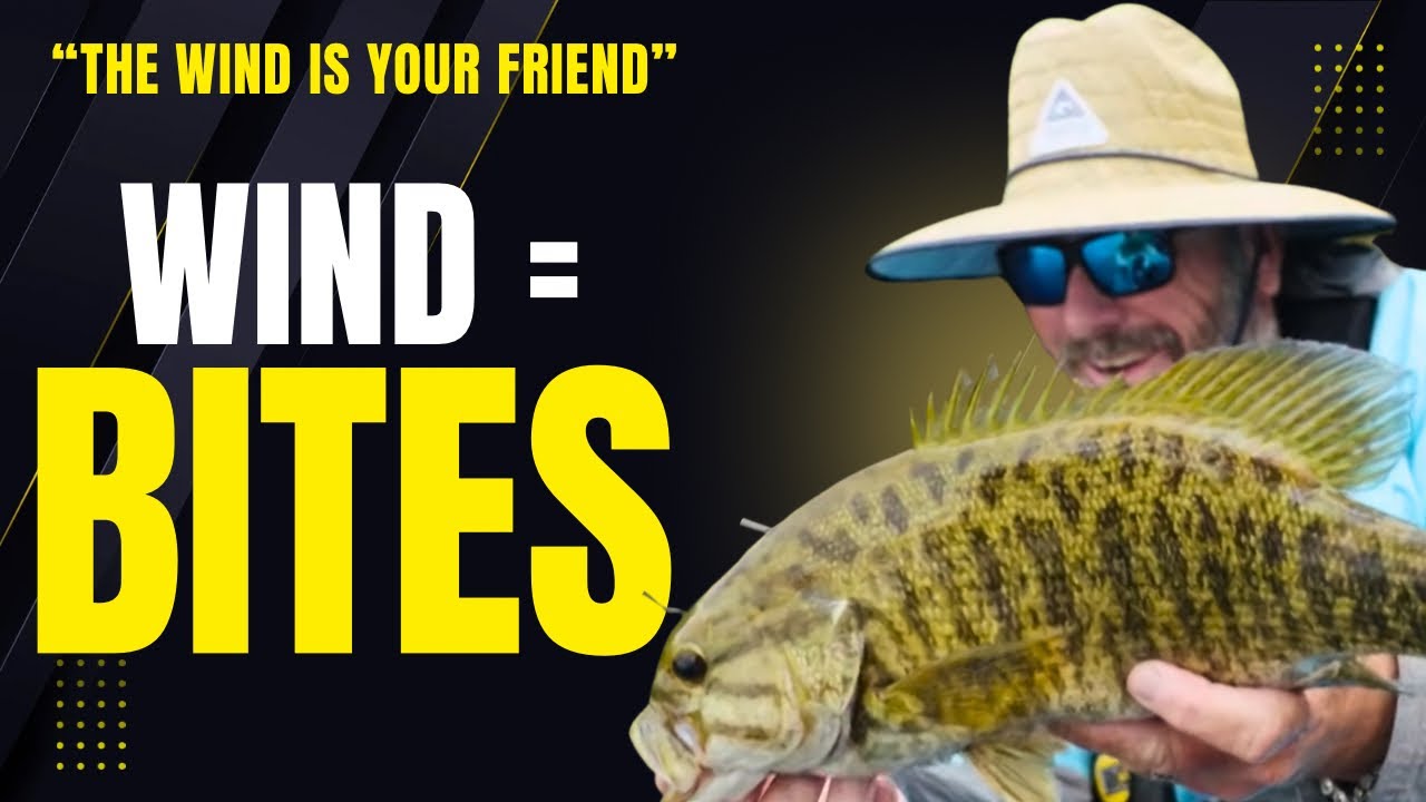 Why Wind Makes Fishing Better - Dave Mercer's Facts of Fishing THE SHOW Season 18 EP#6 