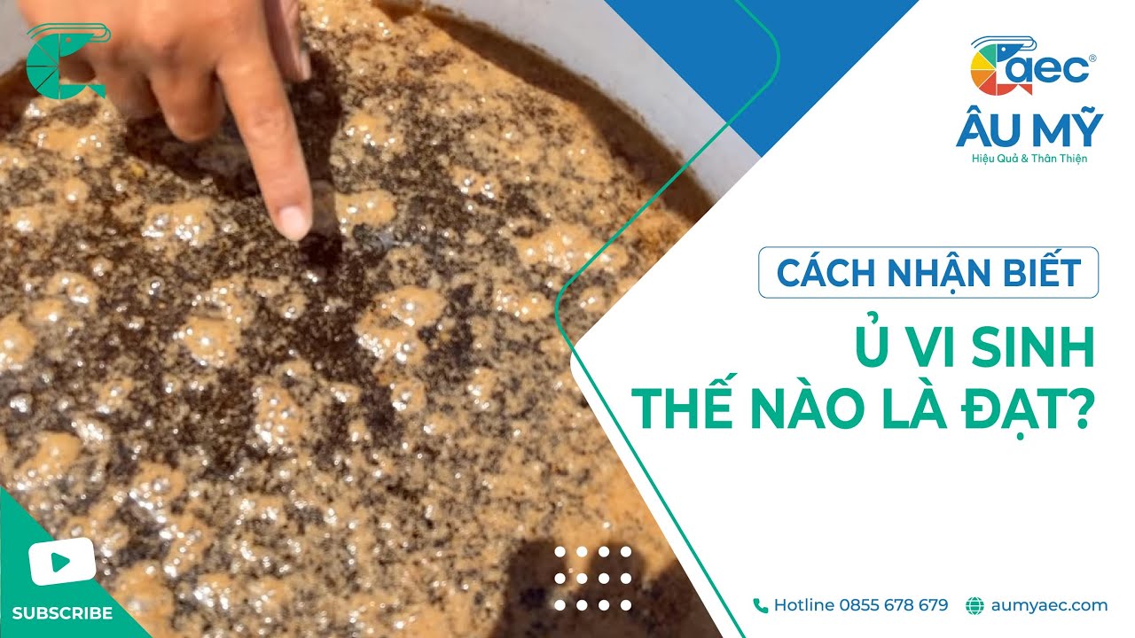 Ủ AEC-COPEFLOC như thế n&agrave;o l&agrave; đạt ? | Thuốc thủy sản Au My AEC