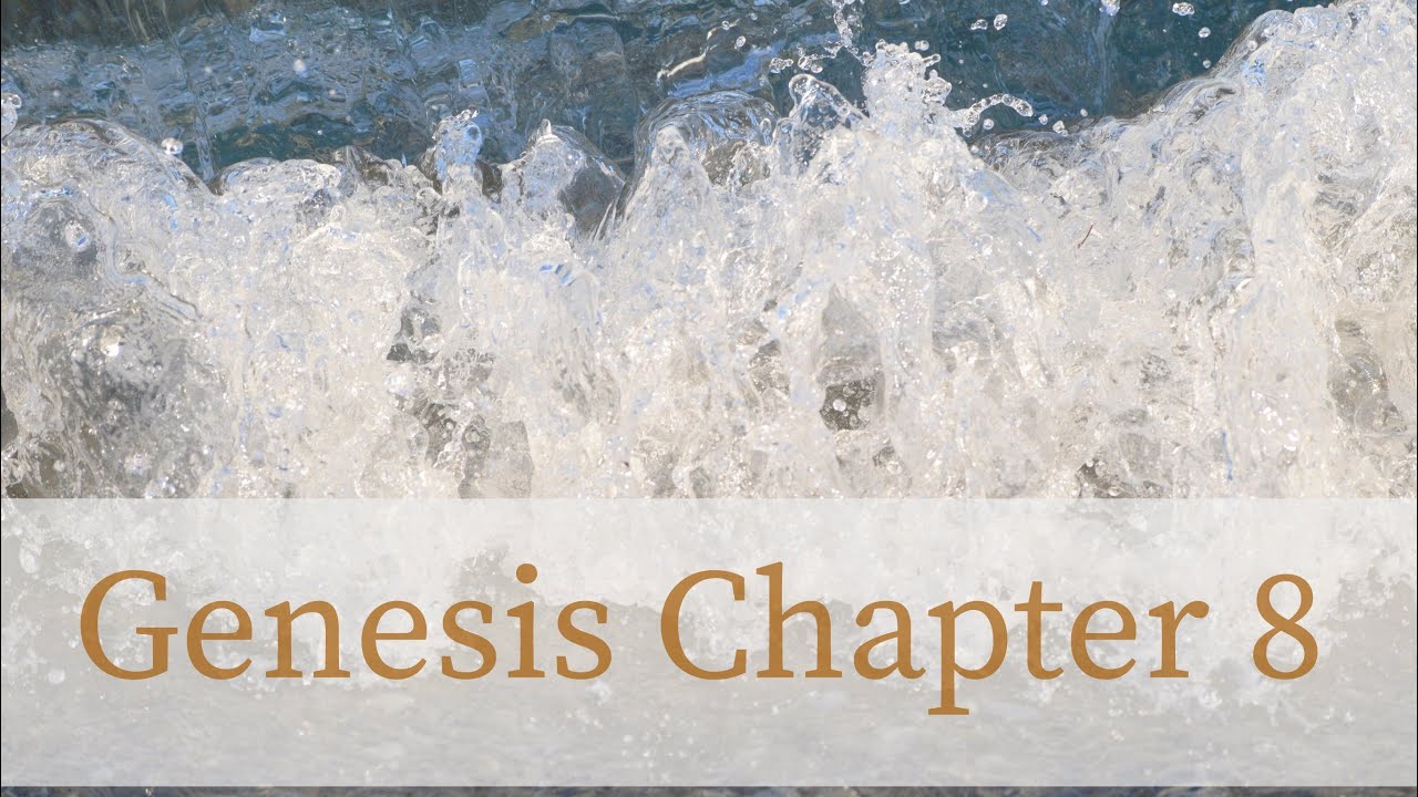 New Life after the Flood - Bible Study of Genesis Chapter 8