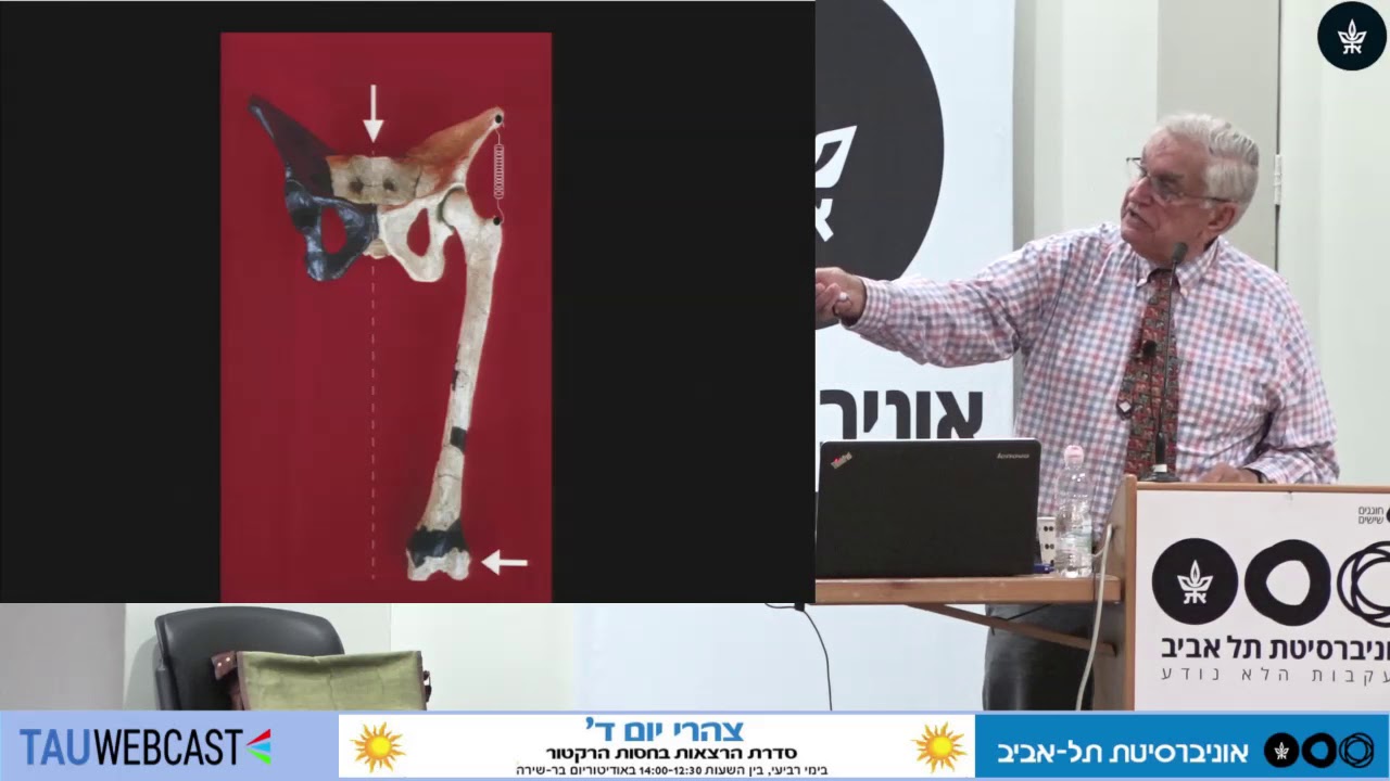 ההליכה הדו־רגלית: צעד ראשון ביצירת האדם