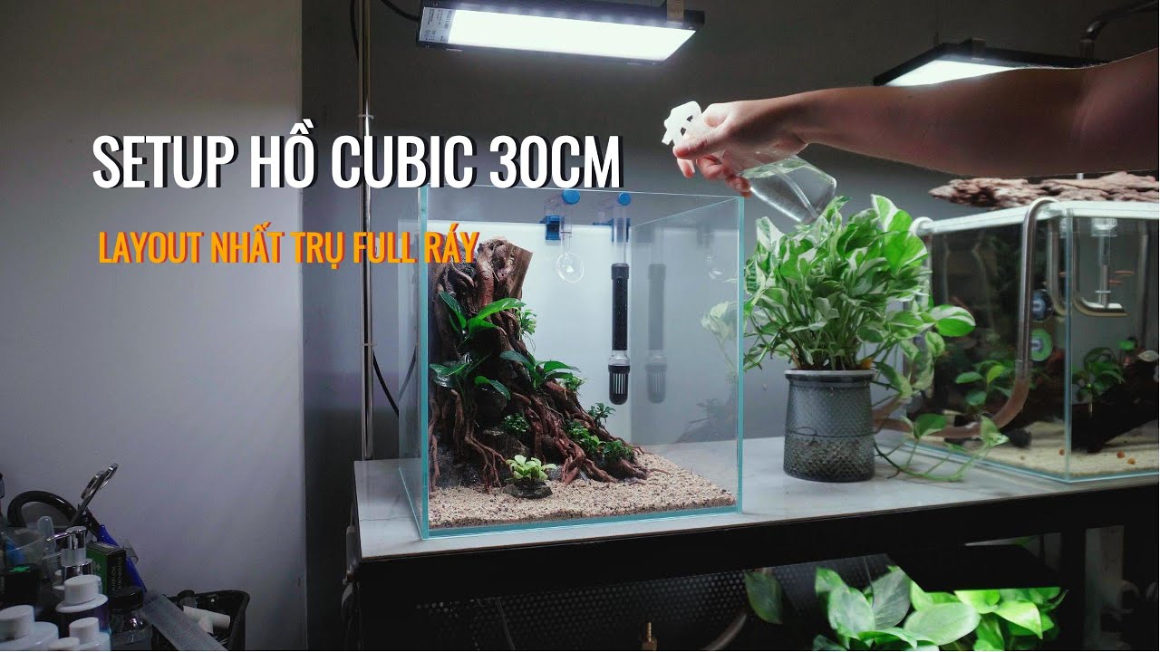 30cm Cube Aquarium: Setup Aquascape Step By Step | Setup Hồ Thuỷ Sinh 30cm